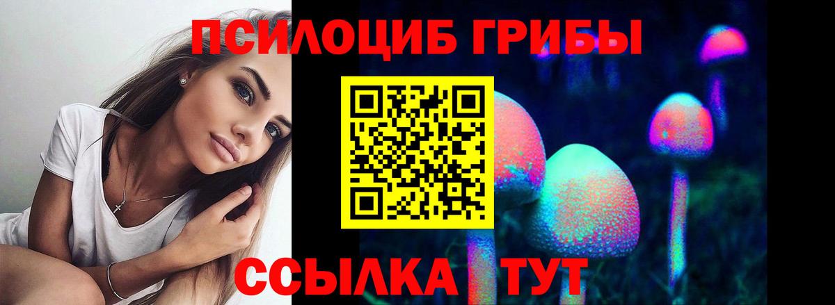 Псилоцибиновые грибы прущие грибы Северск