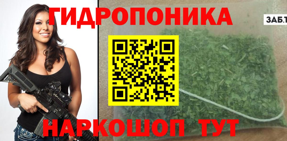 Каннабис план  Вход с VPN  Каннабис сатива  МАРИХУАНА индика  Марихуана OG Kush  Северск 