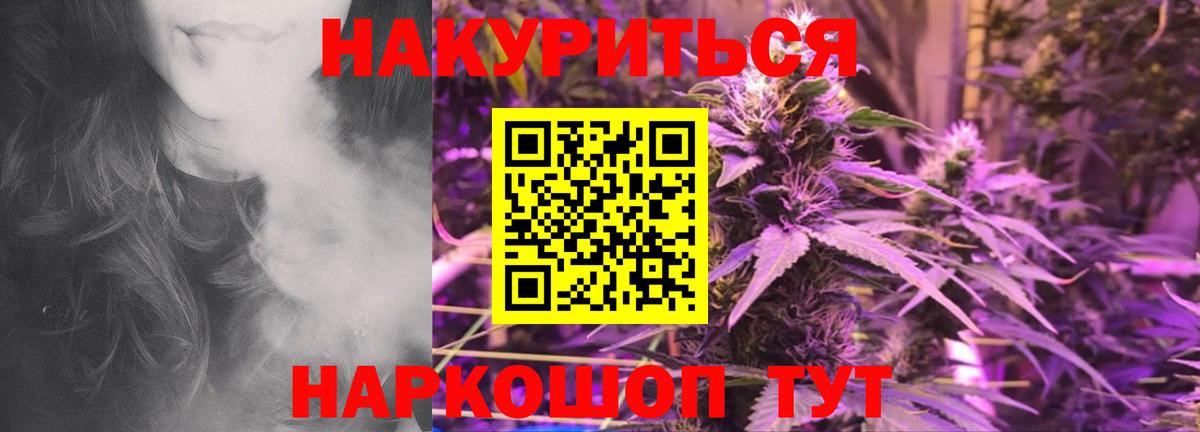 Конопля OG Kush Северск